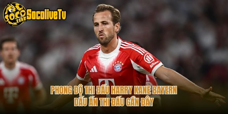 Phong Độ Thi Đấu Harry Kane Bayern – Dấu Ấn Thi Đấu Gần Đây
